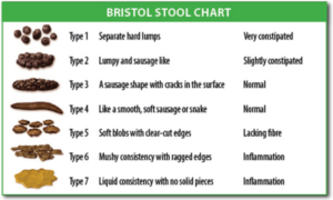 Bristol Stool Chart https://commons.wikimedia.org/wiki/File:Bristol_stool_chart.svg